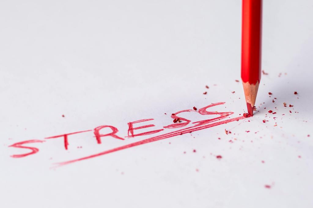 Effective Stress and Anxiety Management Techniques
